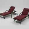 Sale Liegen-Set, anthrazit/bordeaux, Aluminium/Textilene/Polyester, Tisch 40 x 40 cm, 2 Auflagen, mit Rollen, Rückenlehne verstellbar Gartenliegen