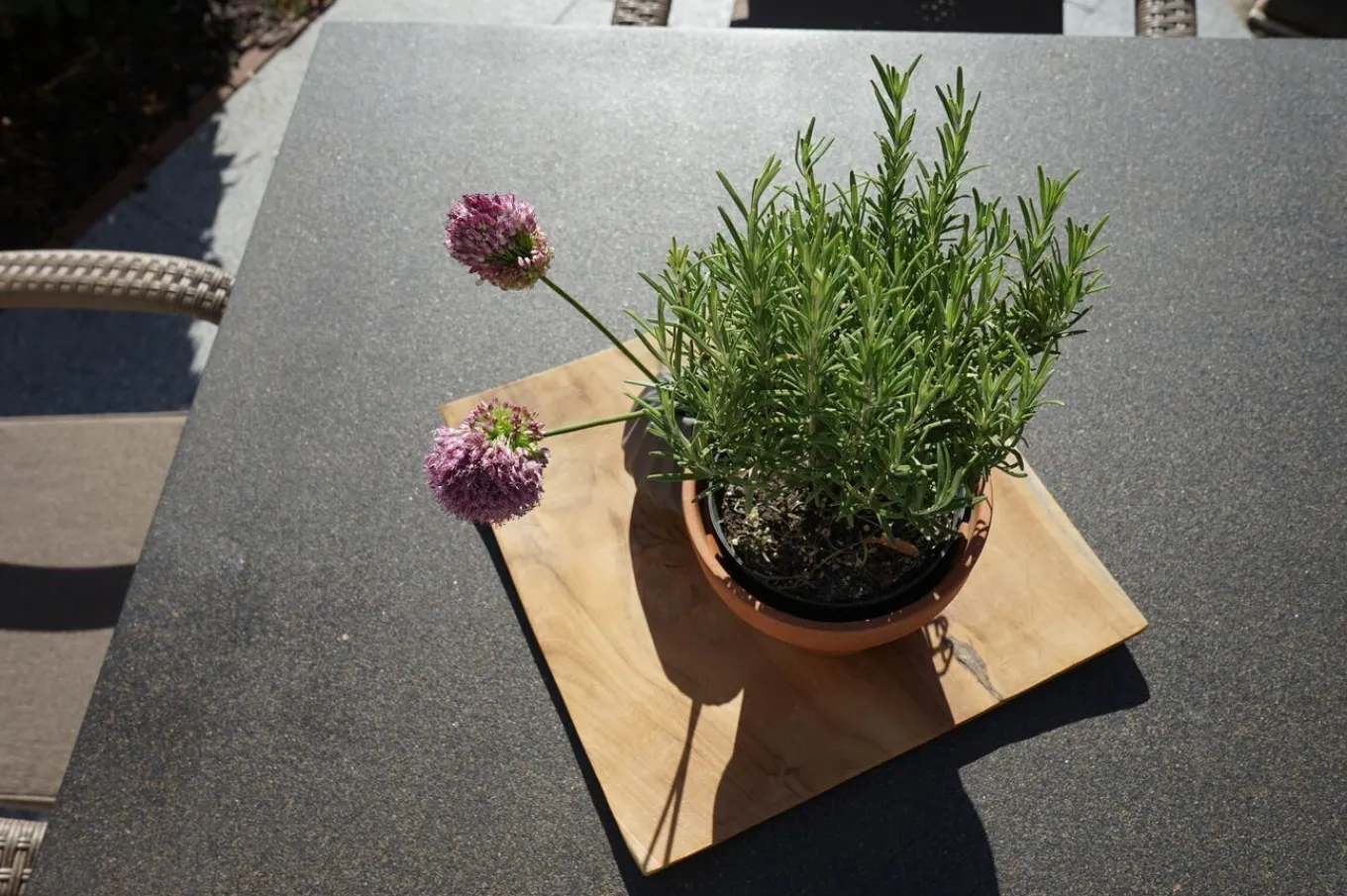 Best Rabida Balkon-Set, champagner-meliert, Polyrattan, Tisch 90x90 cm, 2 Stapelsessel, Glasplatte in Steinoptik Balkonmöbel-Set|Polyrattan-Gartenmöbel