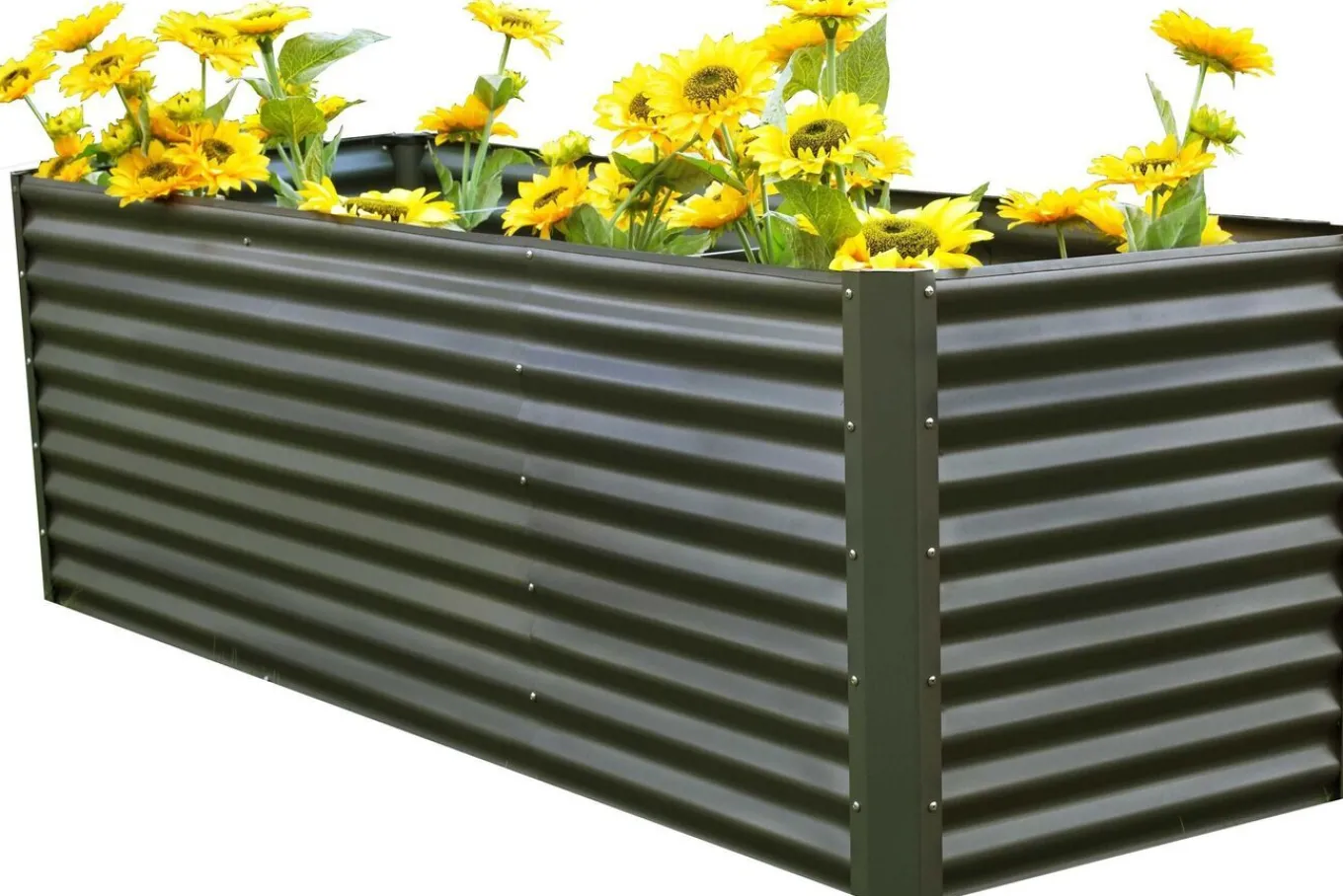 Outlet Set Hochbeet mit Erweiterungsmodul, anthrazit, Aluminium-Zink-Stahl, 120+80cm Hochbeet