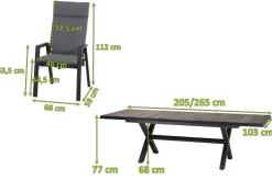 Online Sincro/Valencia Garten-Essgruppe, anthrazit/grau, Alu/Textilgewebe/Keramik, 200/260 x 100 cm, inkl. 8 Diningsessel, stufenlos verstellbar Garten-Essgruppen